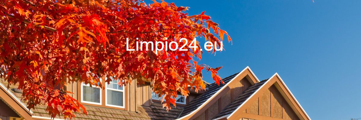 limpio24.giantsblog.net